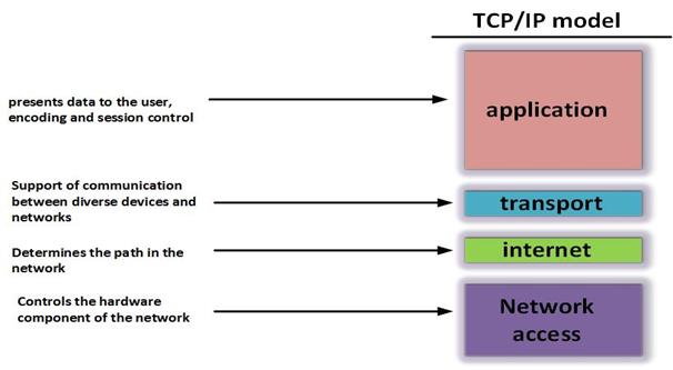 On what levels of the OSI model does the TCP/IP function?